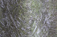 Clapworthy fibreglass roof work